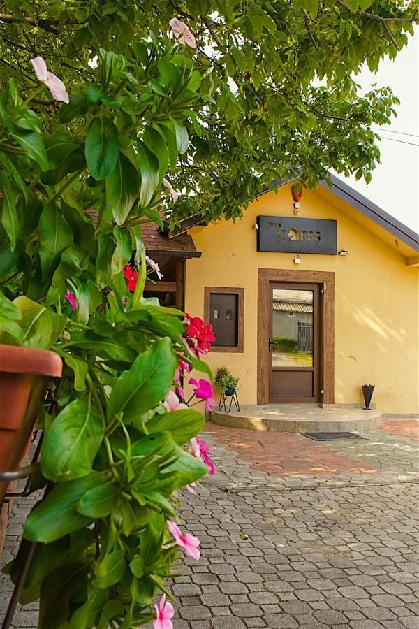 Vila Chess Belgrado Exterior foto